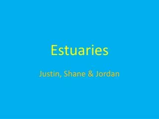 estuaries