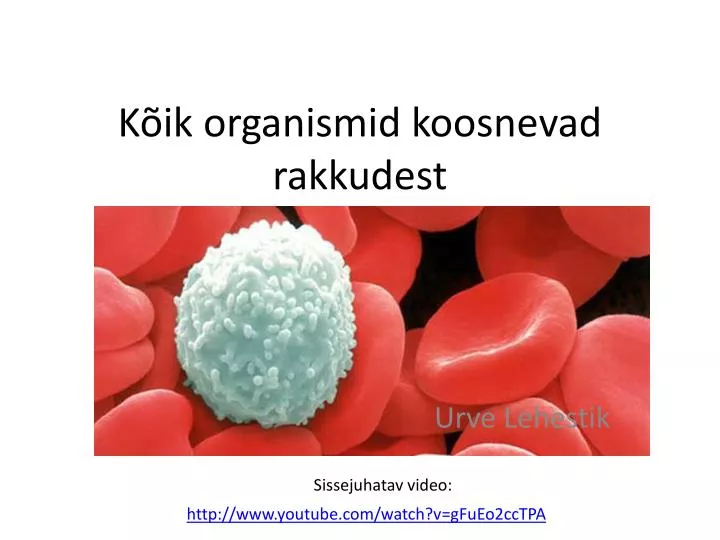 k ik organismid koosnevad rakkudest