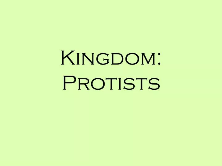 kingdom protists