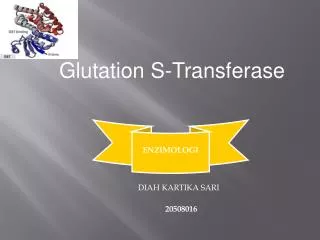 Glutation S- Transferase