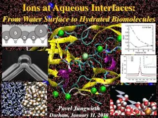 Ions at Aqueous Interfaces : From Water Surface to Hydrated Biomolecules Pavel Jungwirth