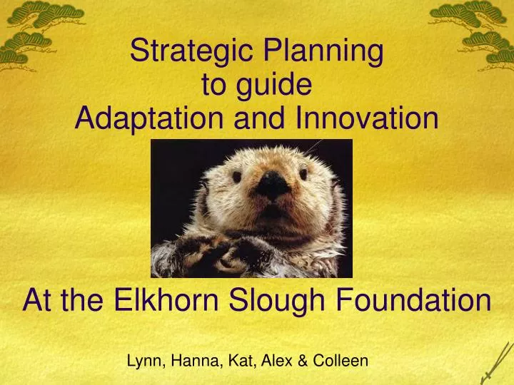 strategic planning to guide adaptation and innovation