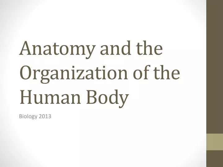 anatomy and the organization of the human body