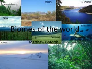 Biomes of the world.