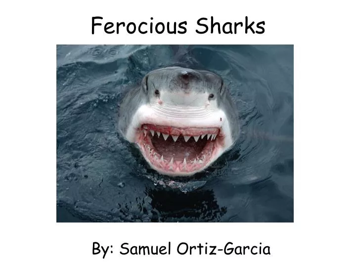 ferocious sharks