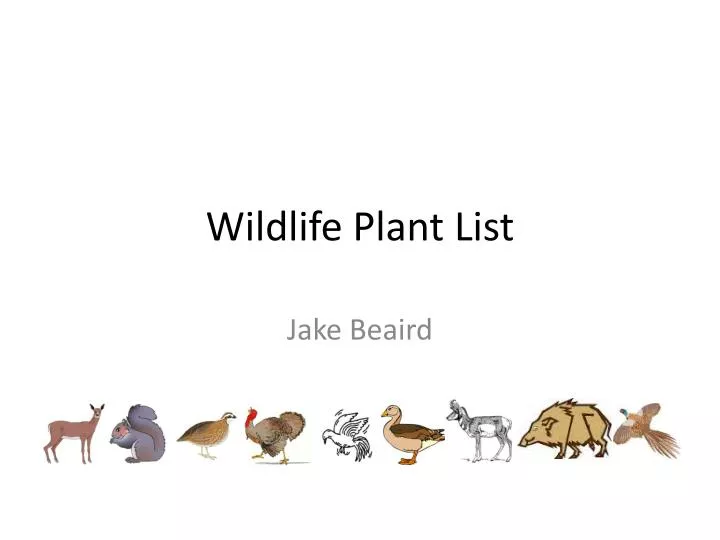 wildlife plant list