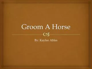 Groom A Horse