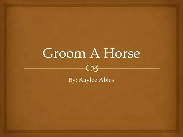 groom a horse