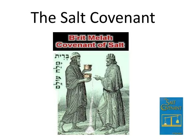 the salt covenant