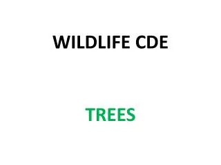 WILDLIFE CDE TREES