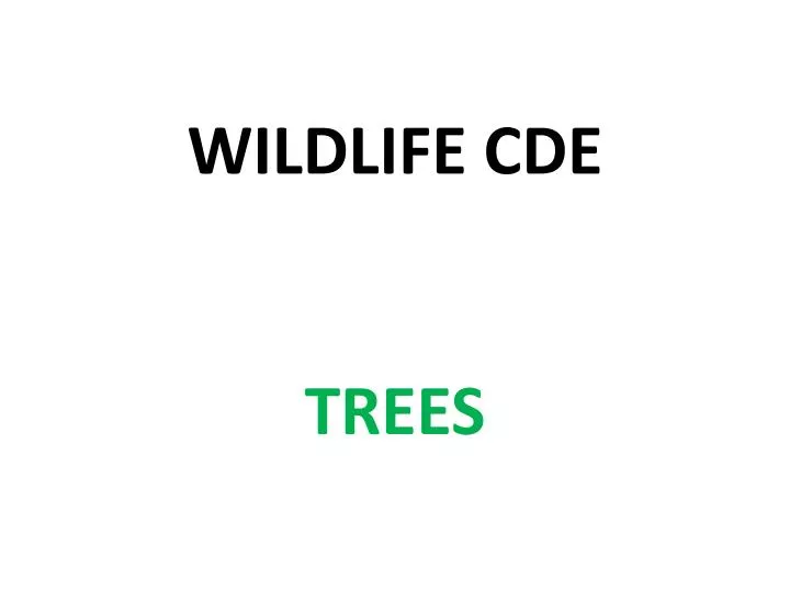 wildlife cde trees