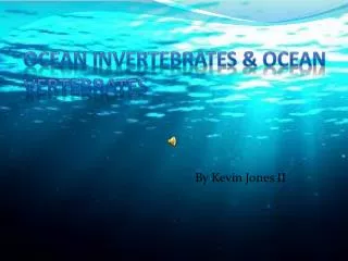 Ocean Invertebrates &amp; Ocean Vertebrates