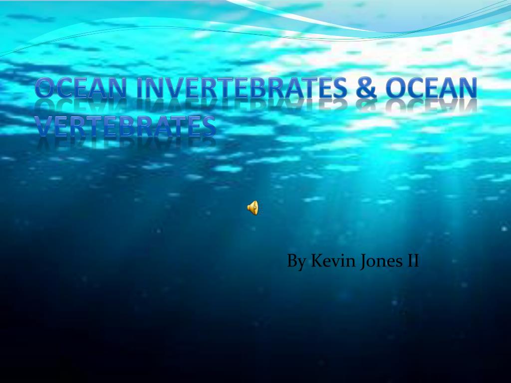 PPT - Ocean Invertebrates & Ocean Vertebrates PowerPoint Presentation ...