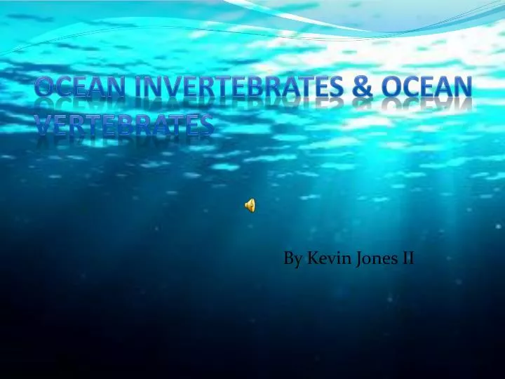 ocean invertebrates ocean vertebrates
