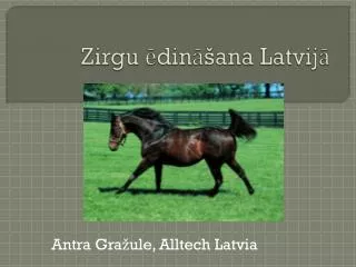 zirgu din ana latvij