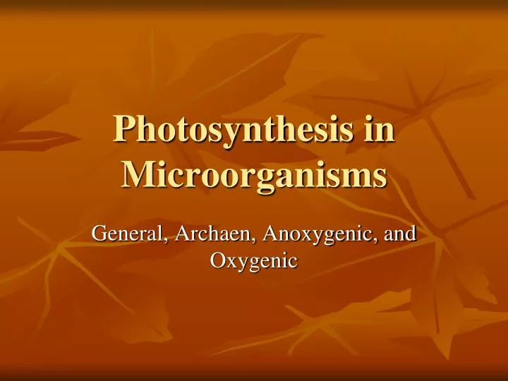 photosynthesis in microorganisms