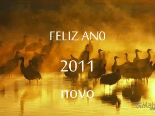 feliz an0