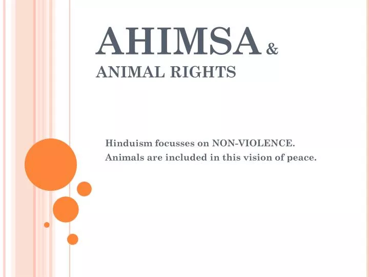 ahimsa animal rights