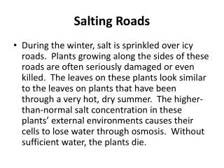 Salting Roads