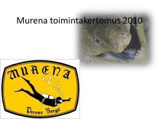 murena toimintakertomus 2010
