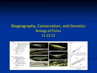 Biogeography, Conservation, and Genetics Biology of Fishes 11.13.12