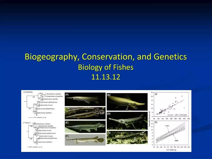 biogeography conservation and genetics biology of fishes 11 13 12