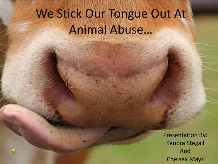 we stick our tongue out at animal abuse