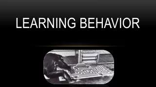 Learning Behavior