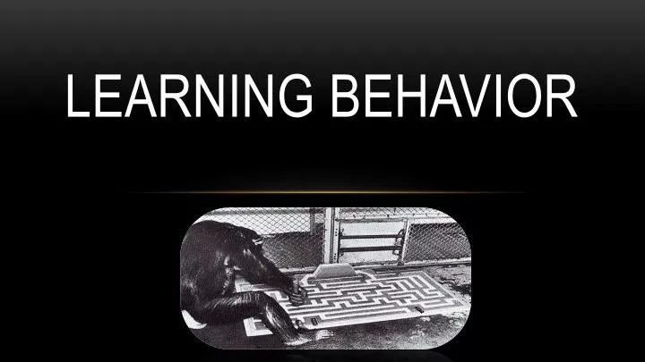 learning behavior