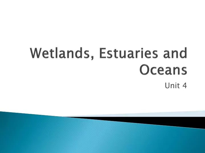 wetlands estuaries and oceans
