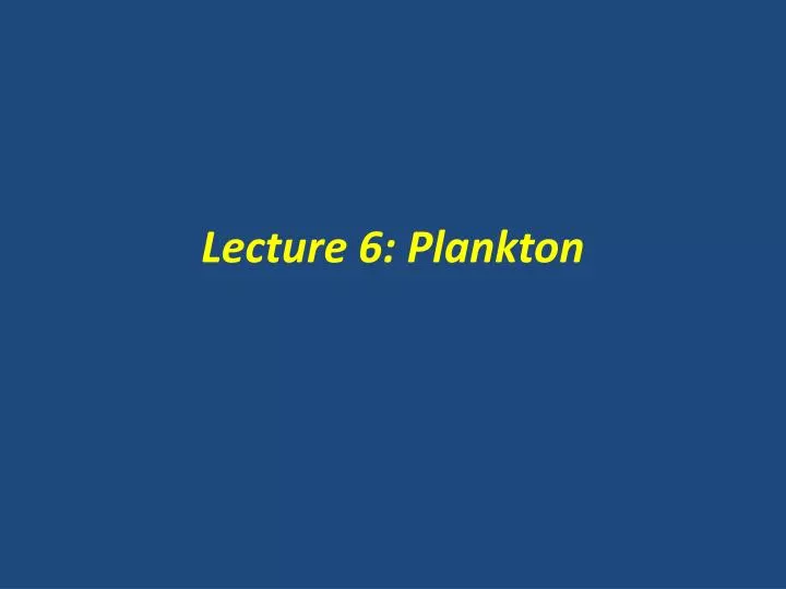 lecture 6 plankton