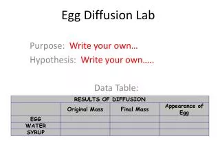 Egg Diffusion Lab