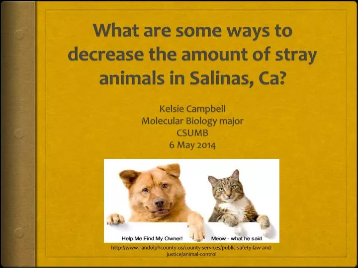 what are some ways to decrease the amount of stray animals in salinas ca