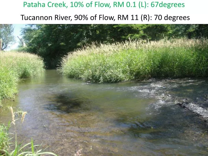 pataha creek 10 of flow rm 0 1 l 67degrees tucannon river 90 of flow rm 11 r 70 degrees