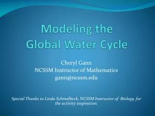 Modeling the Global Water Cycle