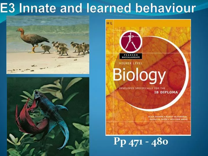 e3 innate and learned behaviour