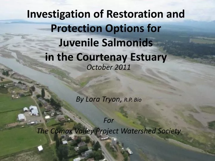 investigation of restoration and protection options for juvenile salmonids in the courtenay estuary