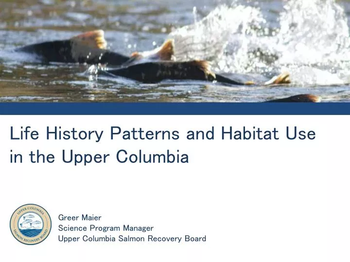 life history patterns and habitat use in the upper columbia