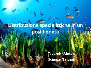 distribuzione specie ittiche in un posidioneto