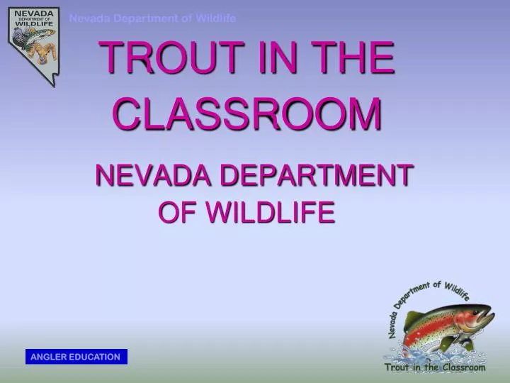 trout in the classroom nevada department of wildlife