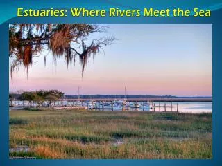Estuaries: Where Rivers Meet the Sea