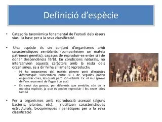 definici d esp cie