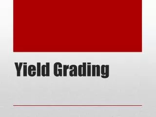 Yield Grading