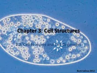 Chapter 3: Cell Structures