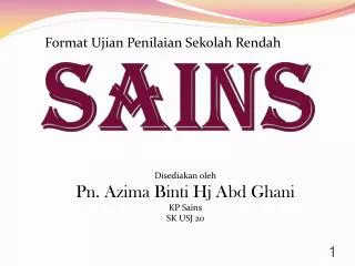 SAINS