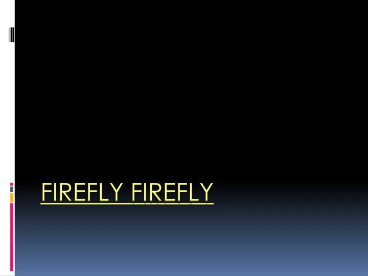 firefly firefly