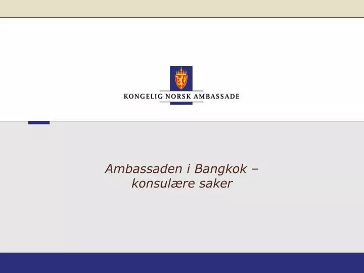 ambassaden i bangkok konsul re saker