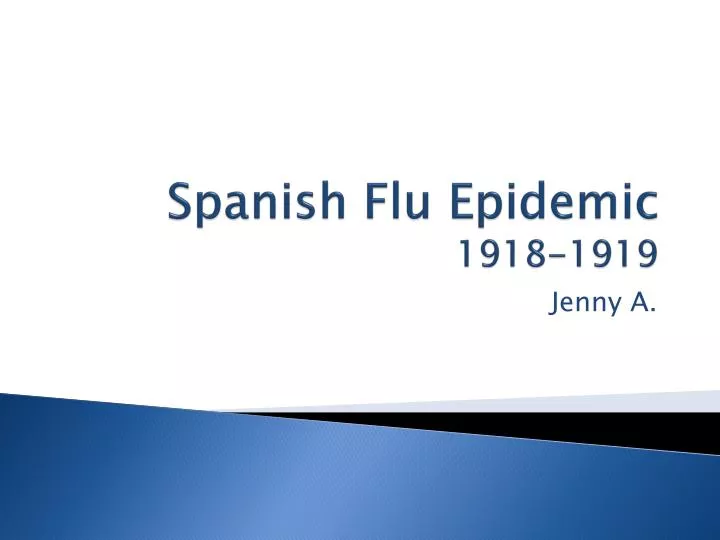 spanish flu epidemic 1918 1919