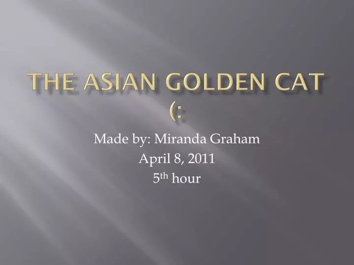 the asian golden cat