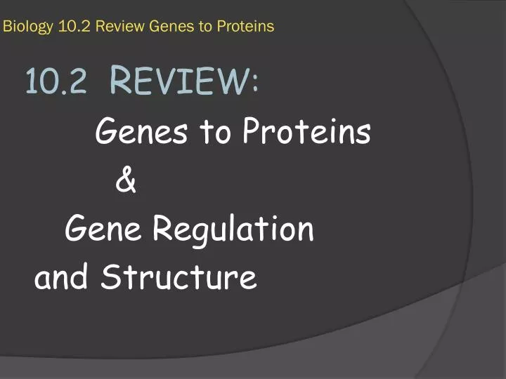 biology 10 2 review genes to proteins